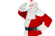 © LIGHTFIELD STUDIOS - bearded  santa claus looking away isolated on white