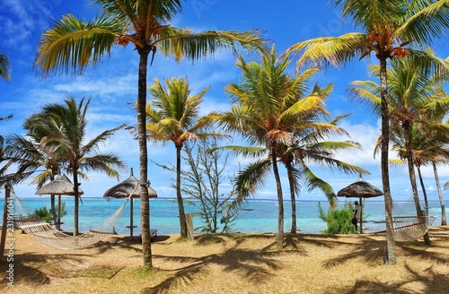 Plage De Rêve Avec Cocotiers Et Hamac Buy This Stock Photo