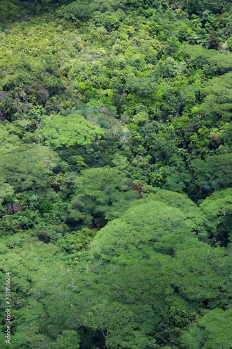 Foret Tropicale Vue Du Ciel Arriere Plan Stock Photo Adobe Stock