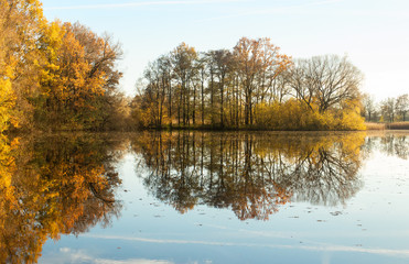 Wall Mural - autumn landscape with lake and trees