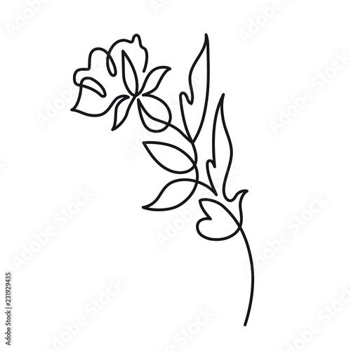 Continuous One Line Drawing Beautiful Rose Flower Logo Vector