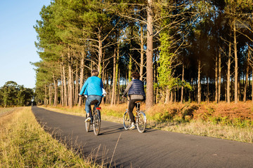 Wall Mural - promenade à vélo dans les landes