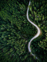 Aerial View From Drone, Of Curved Mountain Road Between Woods.