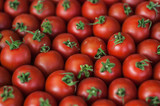 Fototapeta Kuchnia - Group of small fresh tomatoes.Vegetable fresh tomatoes. Many tomatoes.