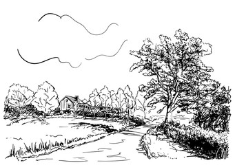 Wall Mural - Sketch of countryside landscape with house, road and big oak tree, Hand drawn vector illustration