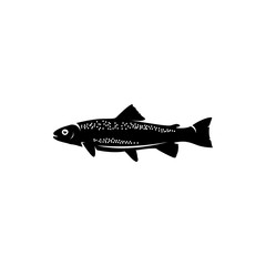 Wall Mural - trout fish