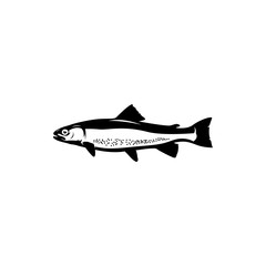 Wall Mural - trout fish