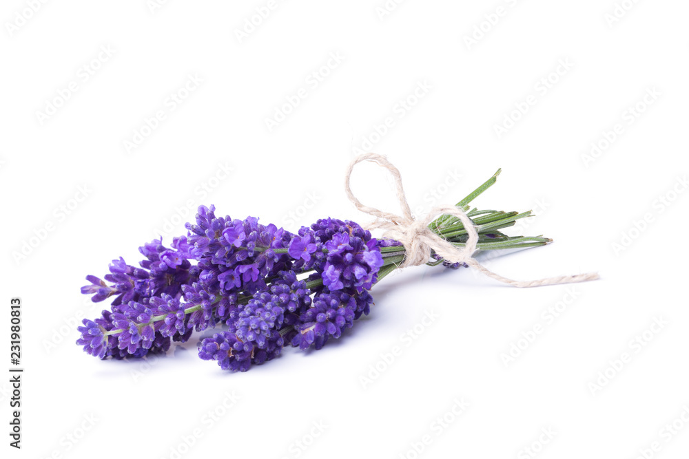 Lavendel  -  Kleiner Strauß Lavendelblüten - obrazy, fototapety, plakaty 
