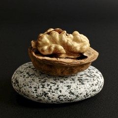 walnut on a stone