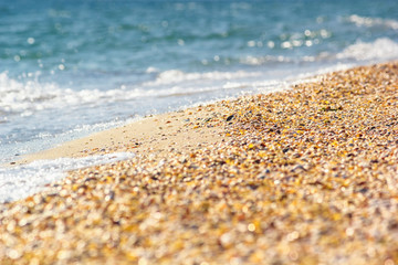 Wall Mural - Surf on the sea sandy shore with shells in the rays of the summer hot sun