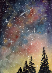 Wall Mural - watercolor starry sky and pine trees background