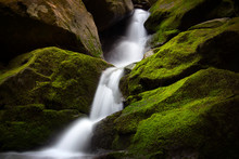 Small Waterfall Flowing Through Green Moss Covered Rocks