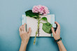 Flatlay of pink hortensia flower, blue notebook and woman's hands
