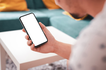 Wall Mural - smartphone in hand blank screen in living room