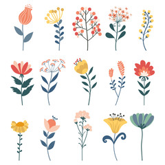 Vector set of doodle floral elements.Herbs, Hand drawn vector botany set.