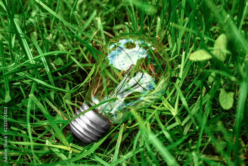 Light bulb in green grass