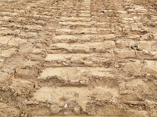 Canvas Print - tire track on soil for background