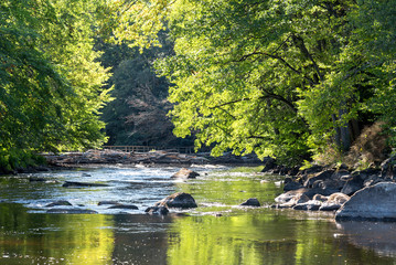 wild swedish river in september