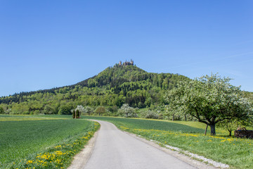 Wall Mural - Hohenzollern Castle, Germany	