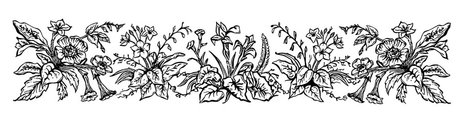 Wall Mural - Vinatge floral Border. Hand-painted SVG, black outline/linework.