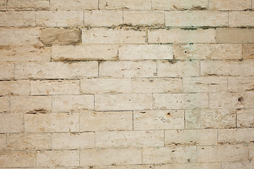 Wall Mural - brick light beige wall