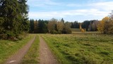 Fototapeta Natura - Autumn in Sweden