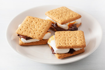 Wall Mural - homemade marshmallow s'mores with chocolate on crackers