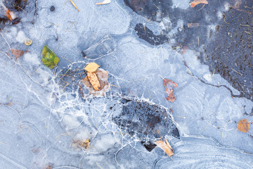 Canvas Print - broken ice crust on frozen puddle in autumn