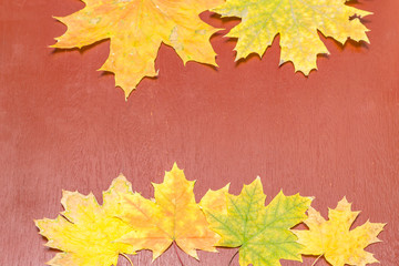 Wall Mural - six maple leaves on a red painted wooden background