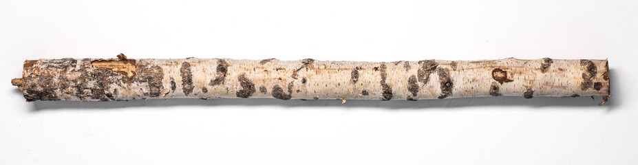 Poster - birch log on a white background