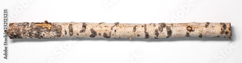 Photographie birch log on a white background