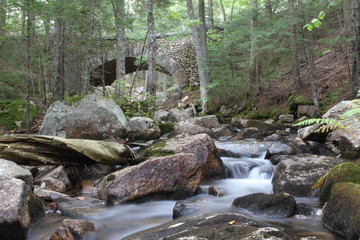 Wall Mural - Cobblestone Bridge in Acadia National Park