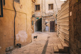 Fototapeta Na drzwi - Stray cats on the streets of historial center in Acre, Israel