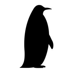 Wall Mural - Vector black silhouette of a penguin