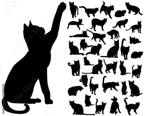 Fotomural vector isolated silhouette cat set