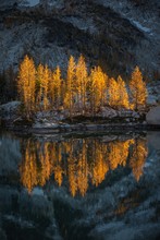 Autumn Trees Reflecting In Lake