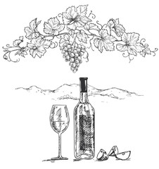 Wall Mural - Grape Branch, Bottle and Wine Glass