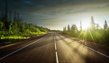 Wall Mural - road in north mountain forest