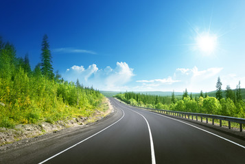 Wall Mural - road in north mountain forest