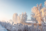 Fototapeta Do pokoju - Winter morning landscape with frosty trees on riverside