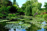 Fototapeta Na sufit - Beautiful Garden of Giverny of Monet