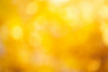 blurred abstract autumn background