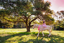 Cute Little Girl And Pony In A Beautiful Park