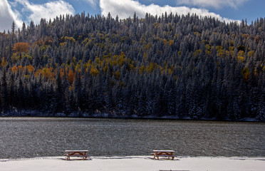 Wall Mural - Cypress Hills First Snowfall