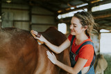 Fototapeta Konie - Girl brushing a chestnut horse