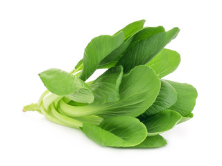 Canvas Print - fresh green bok choy,chinese cabbage or pak chai isolated on white background