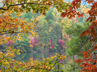 Wall Mural - Focus Stacked Framing of Fall Leaves and Lake Shore