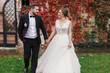 © sonyachny - Gorgeous bride and stylish groom holding hands and walking at wall of autumn red leaves. Sensual wedding couple embracing. Romantic moments of newlyweds. Wedding photo