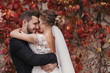 © sonyachny - Gorgeous bride and stylish groom gently hugging and smiling at  old wall of autumn red leaves. Happy sensual wedding couple embracing. Romantic moments of newlyweds