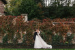 © sonyachny - Gorgeous bride and stylish groom gently hugging and smiling at  old wall of autumn red leaves. Happy sensual wedding couple embracing. Romantic moments of newlyweds